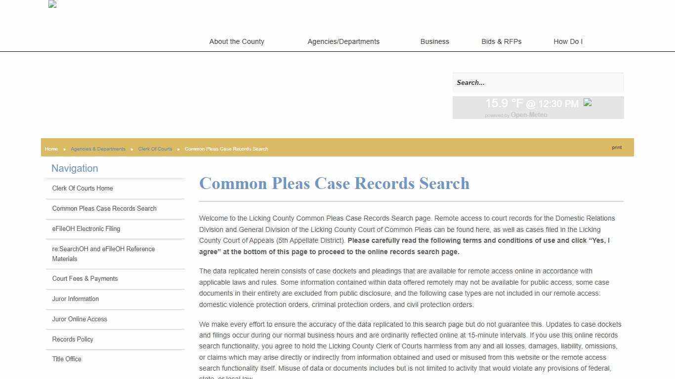 Licking County - Common Pleas Case Records Search